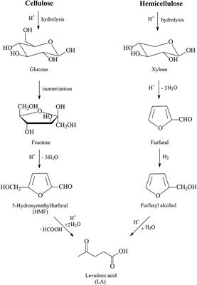 Recent Advances in Ruthenium-Catalyzed Hydrogenation Reactions of Renewable Biomass-Derived Levulinic Acid in Aqueous Media